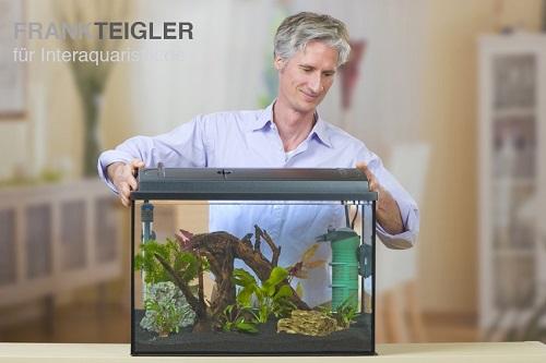 Aquarium-einrichten-9-3.jpg