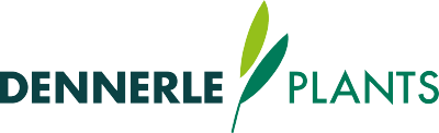 Dennerle Logo