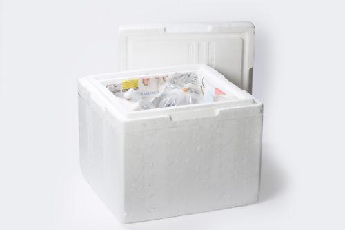 Zierfischversand in Styroporbox Zierfischversand Beispiel-Box