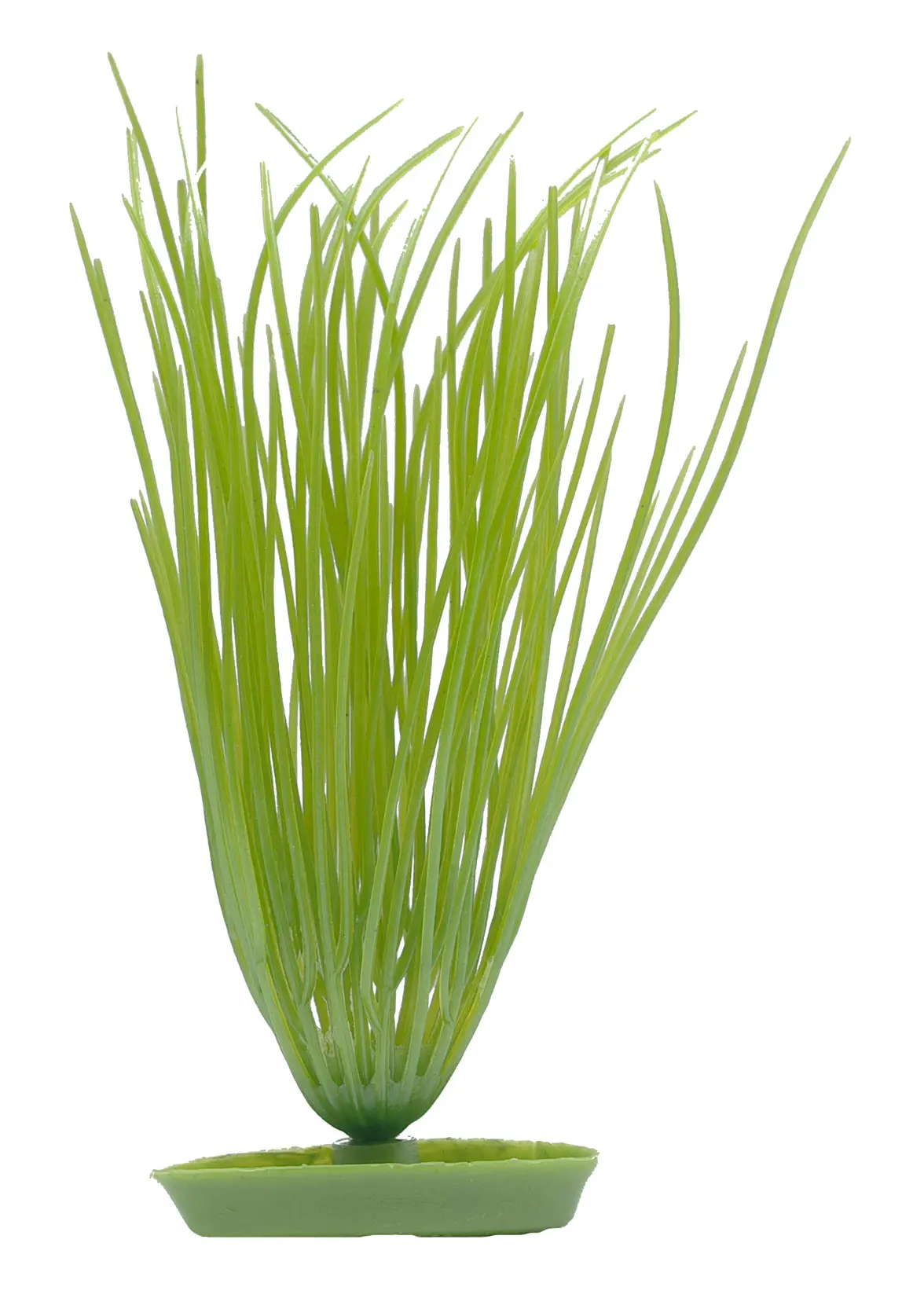 Marina Aquascaper Hairgrass 13 cm