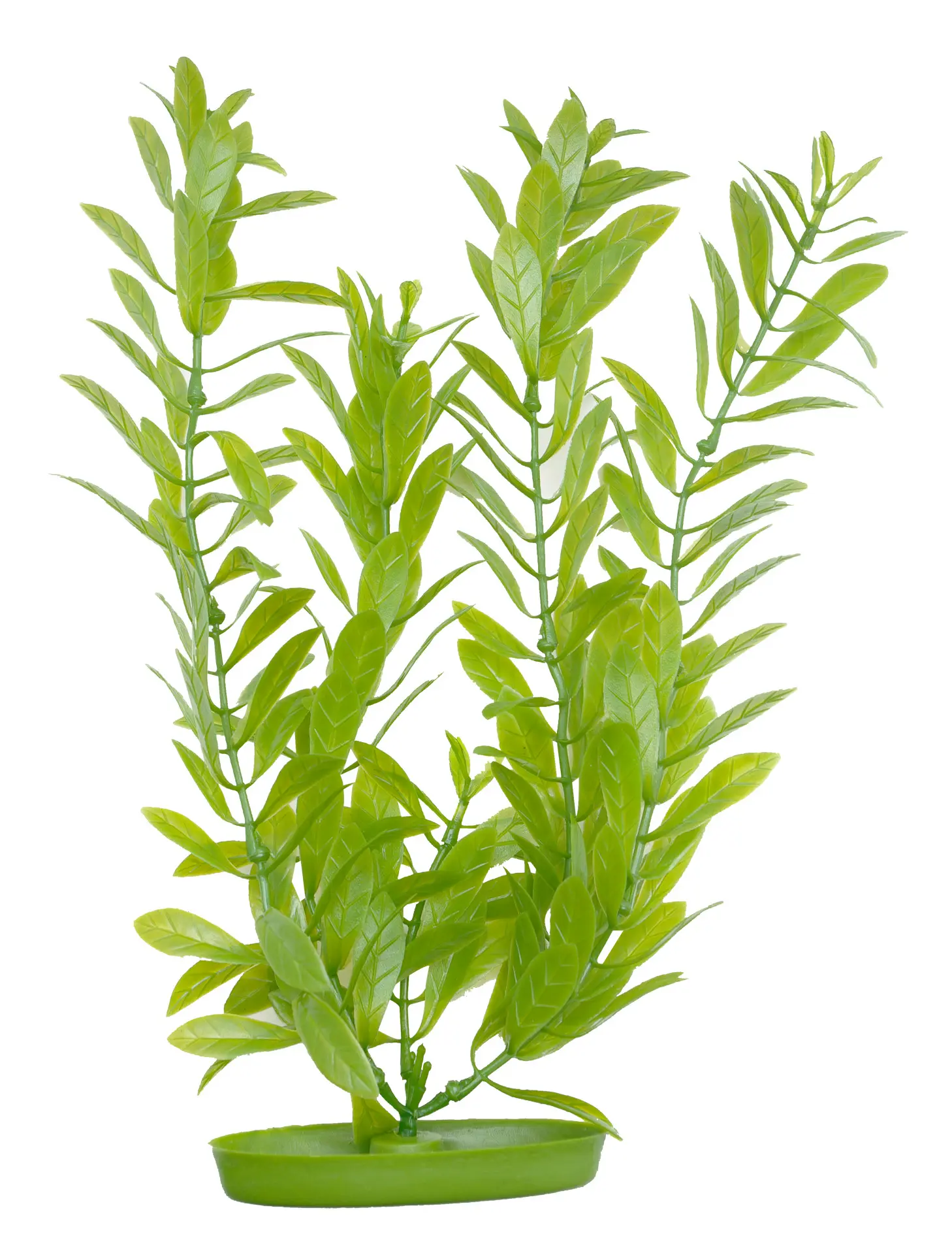 Marina Aquascaper Hygrophila 30 cm