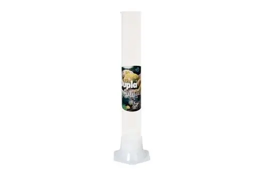 Dupla Marin Glas-Standzylinder für Aräometer