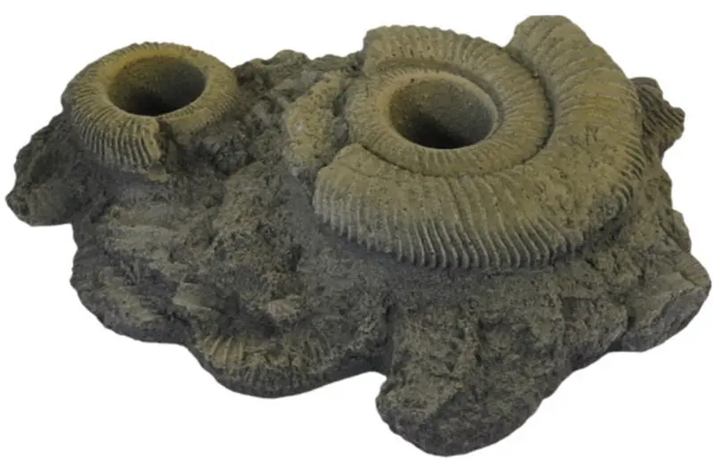 Variogart Pflanzhilfe 12 Fossilien 1430