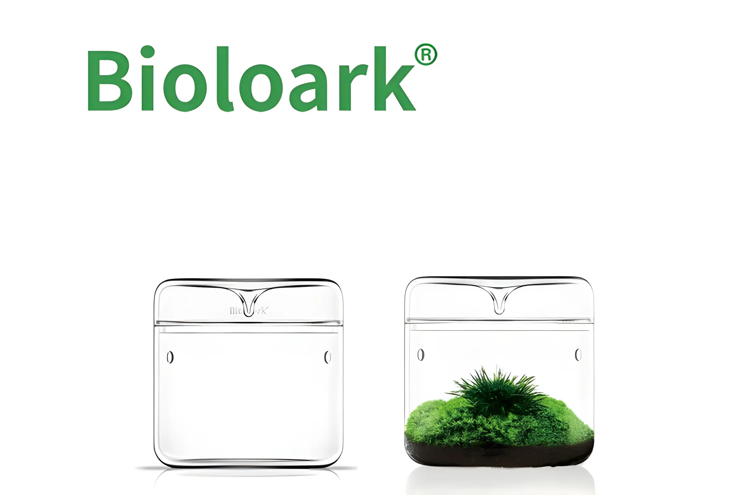 Bioloark Luji Glass Cup MY-120, Biosphären-Glas