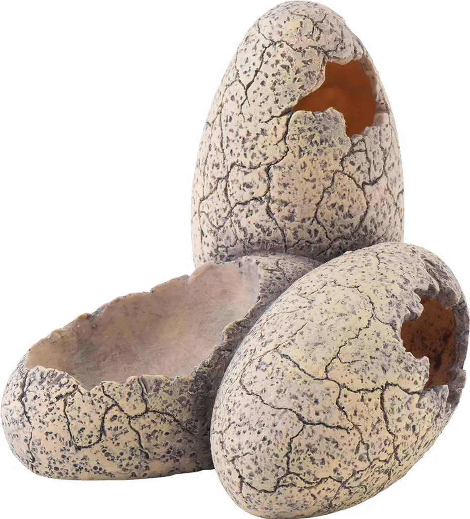 Exo Terra Dinosaurier Eier klein