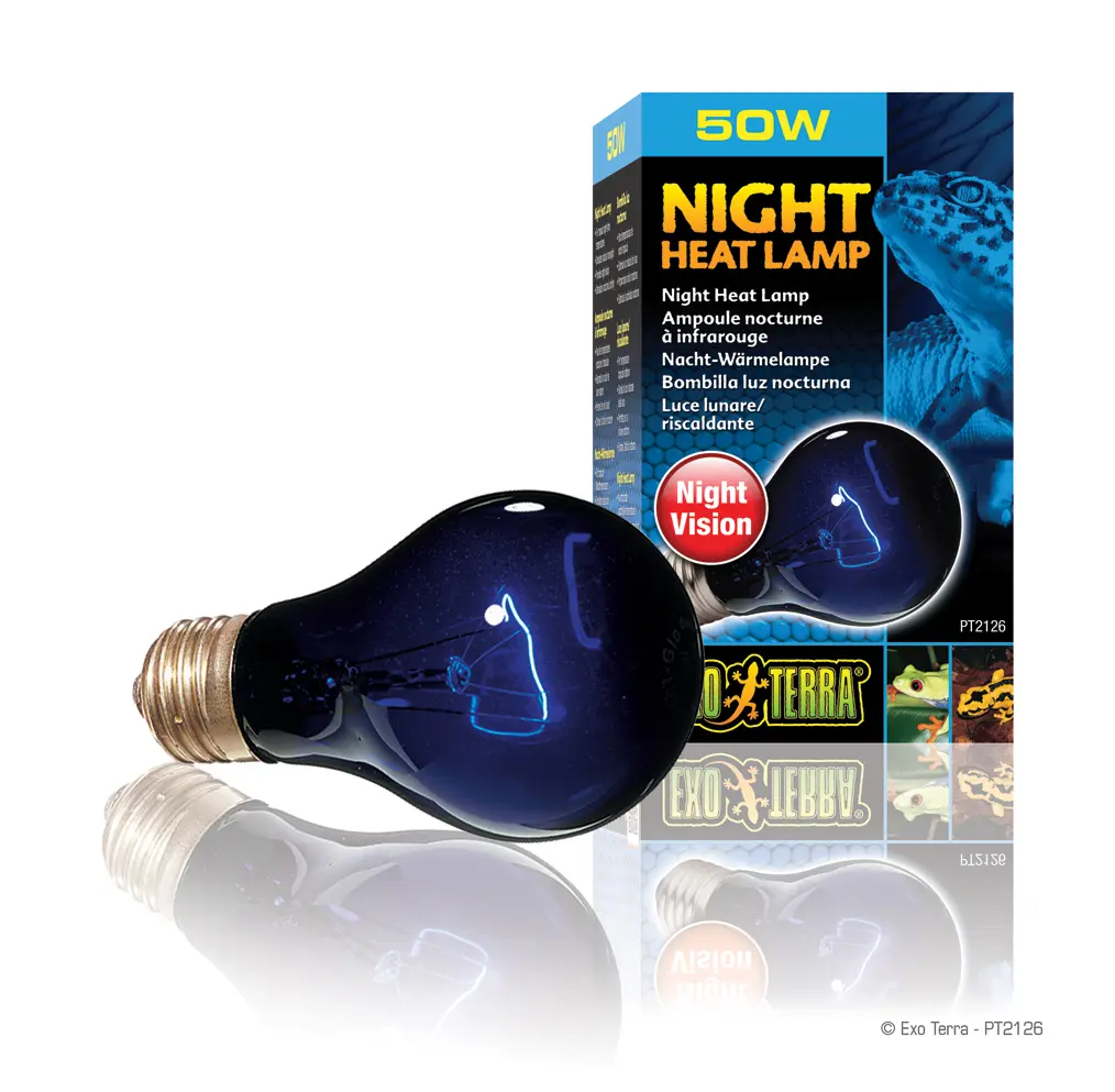 Exo Terra Night Glo NG A19/50 W