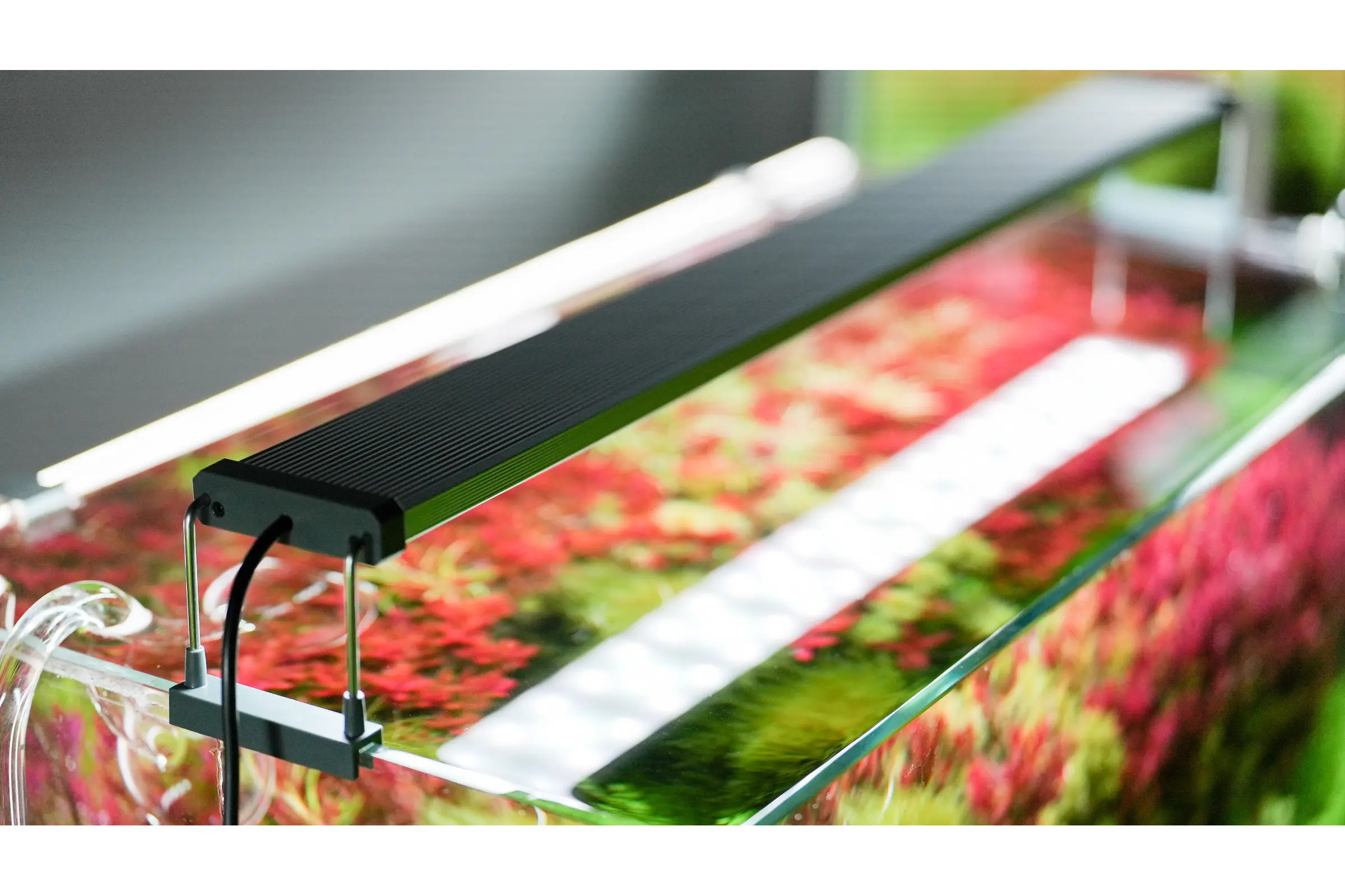Chihiros B-Serie LED-Beleuchtung, 6 Größen, mit Bluetooth