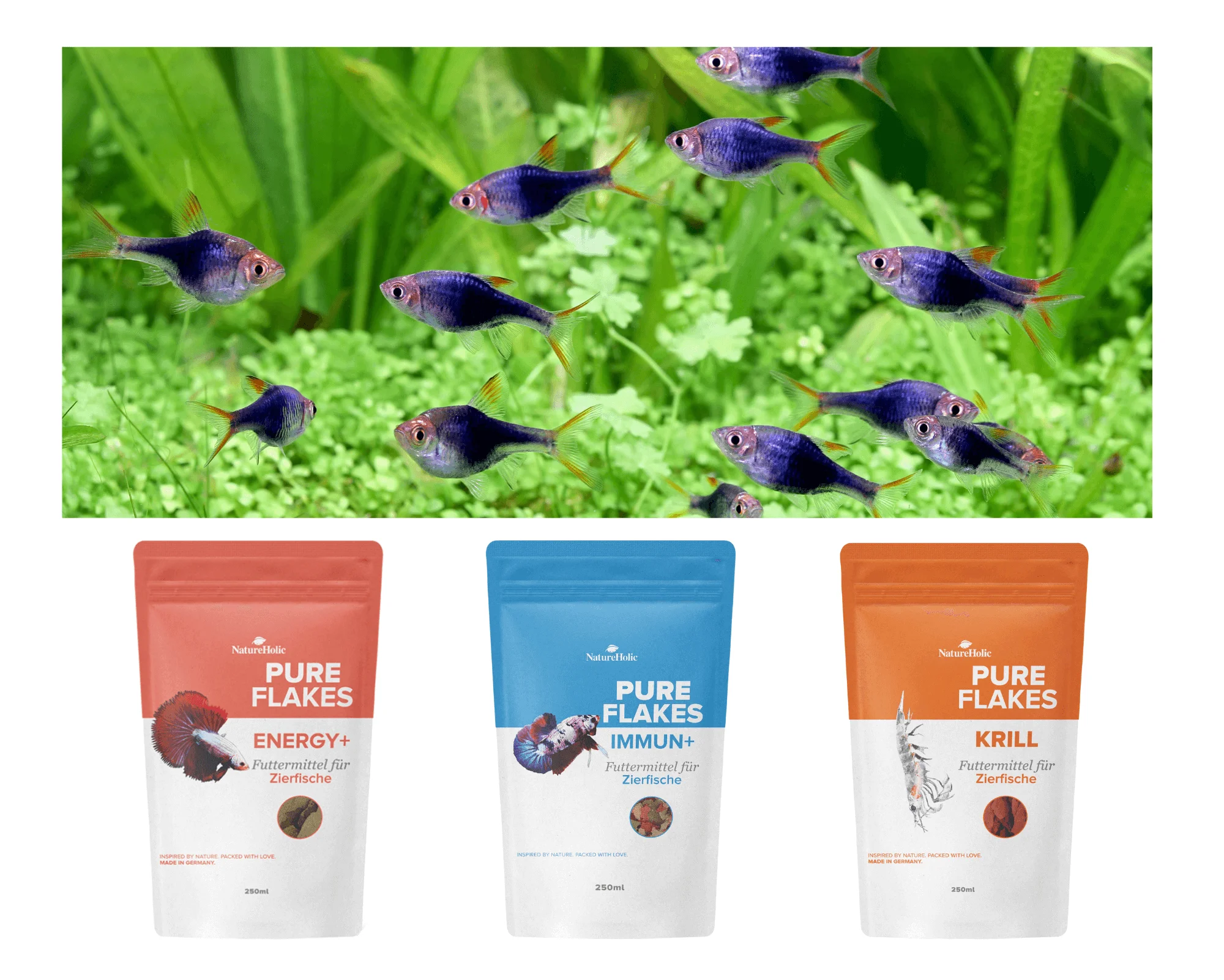 Aquarienfische über drei Pure Flakes Futterbeuteln