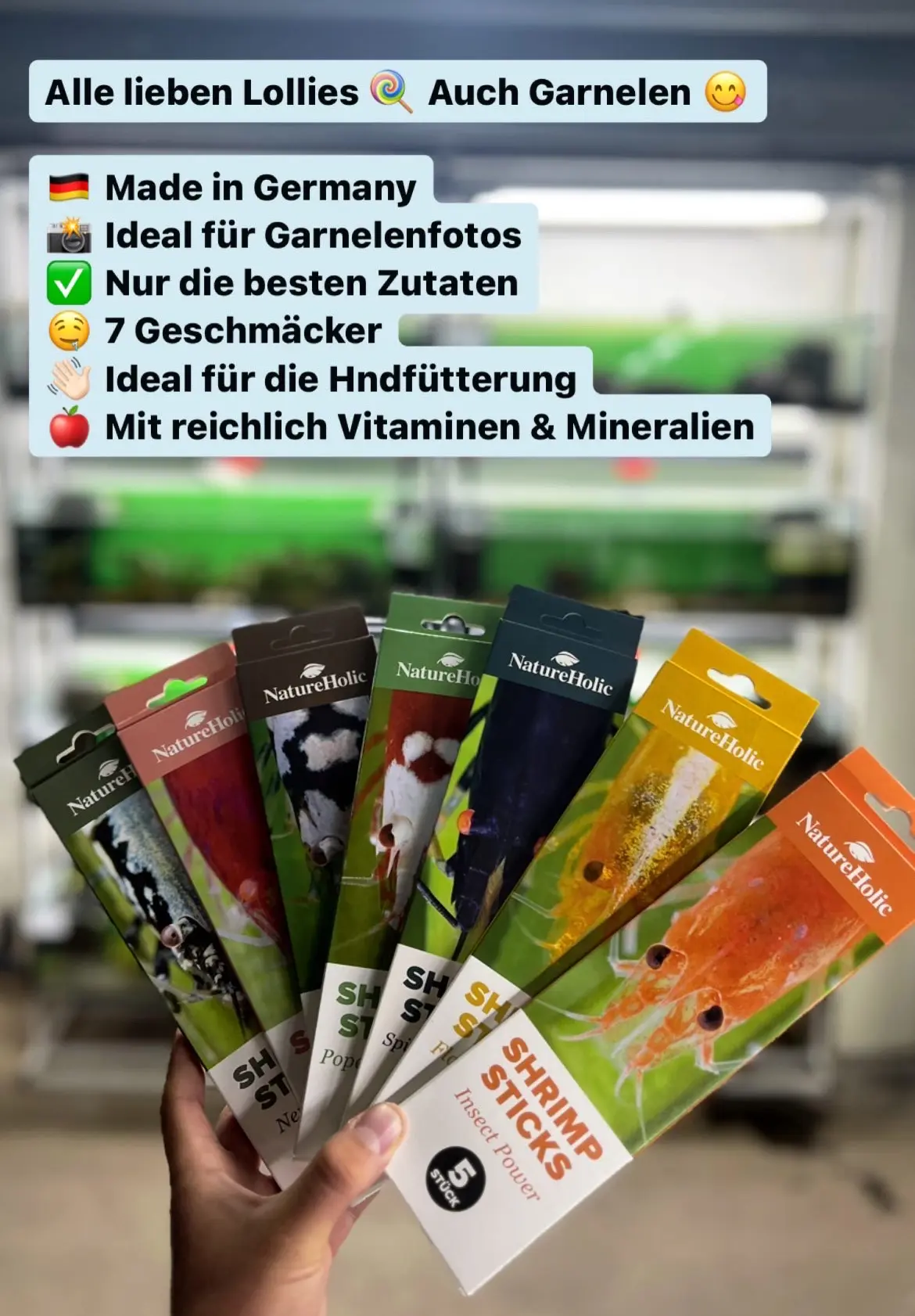 Hand mit NatureHolic Shrimp Sticks (7 Sorten) vor Aquarium