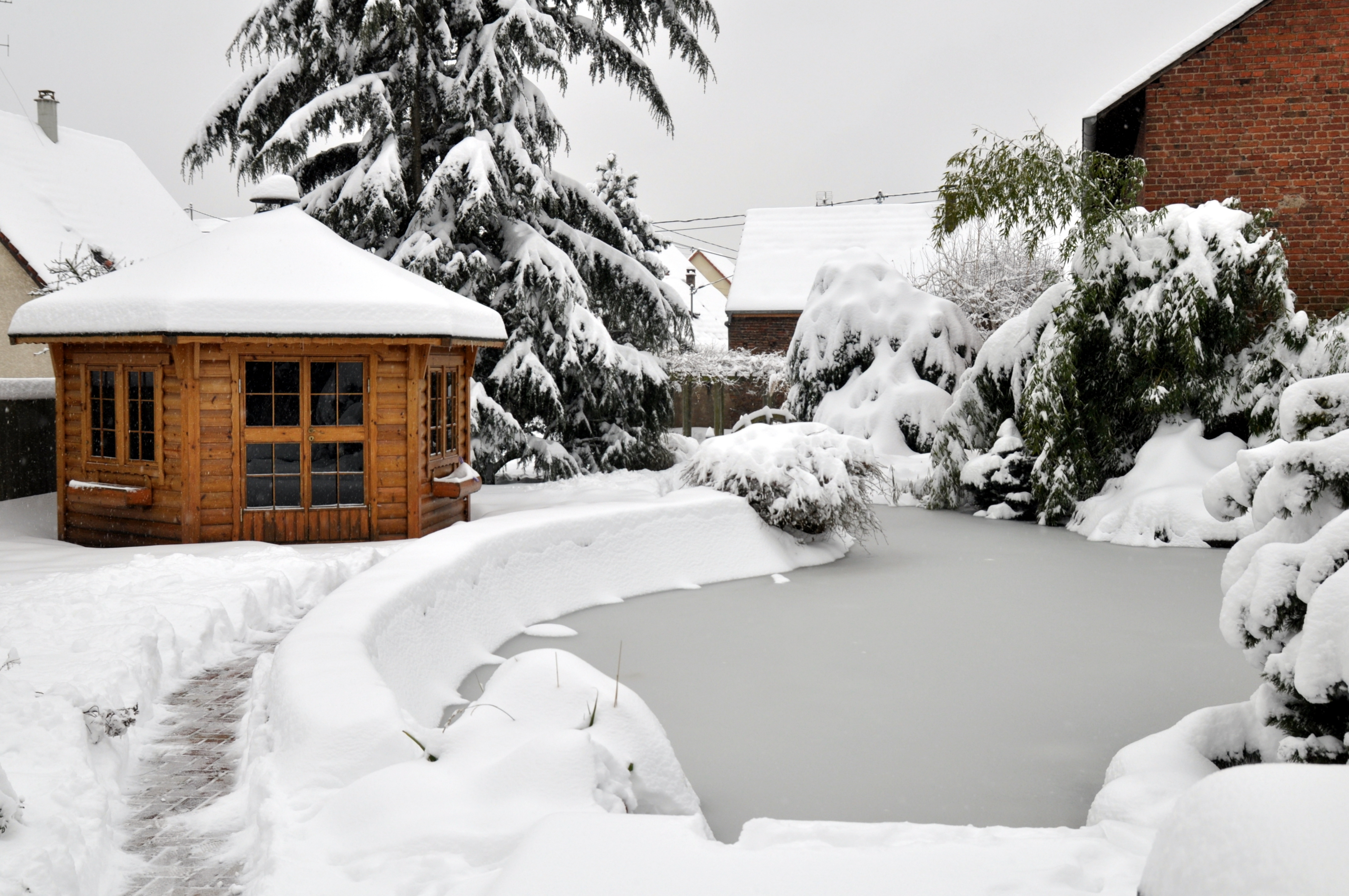 Gartenteich mit Eisdecke