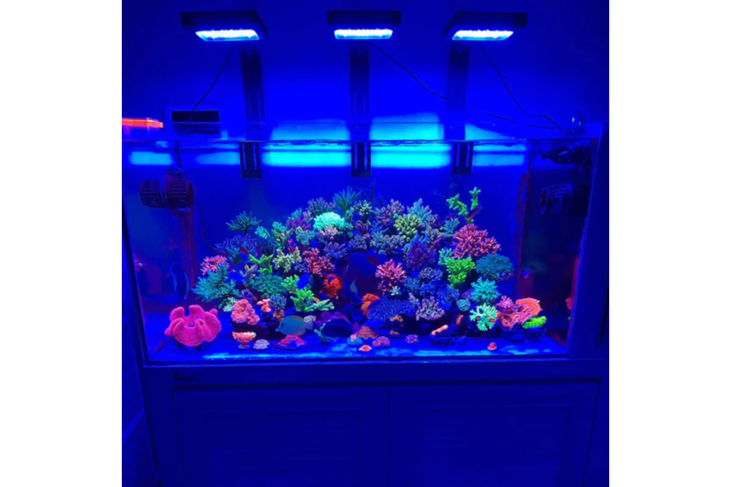LED Meerwasser
