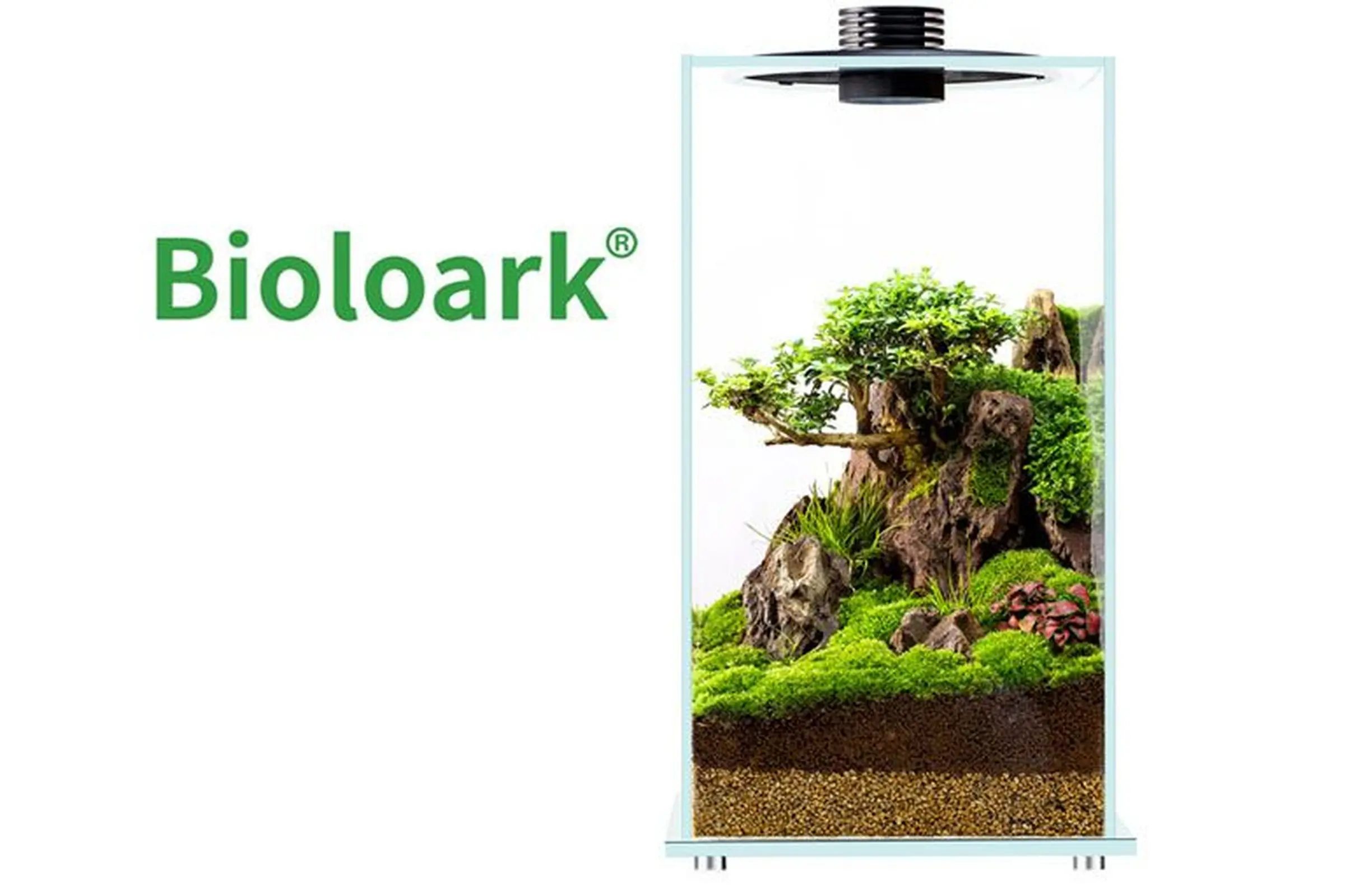 Bioloark Bio Bottle FD250 Wabi-Kusa / Biosphäre, Weißglas