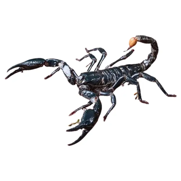 Skorpione