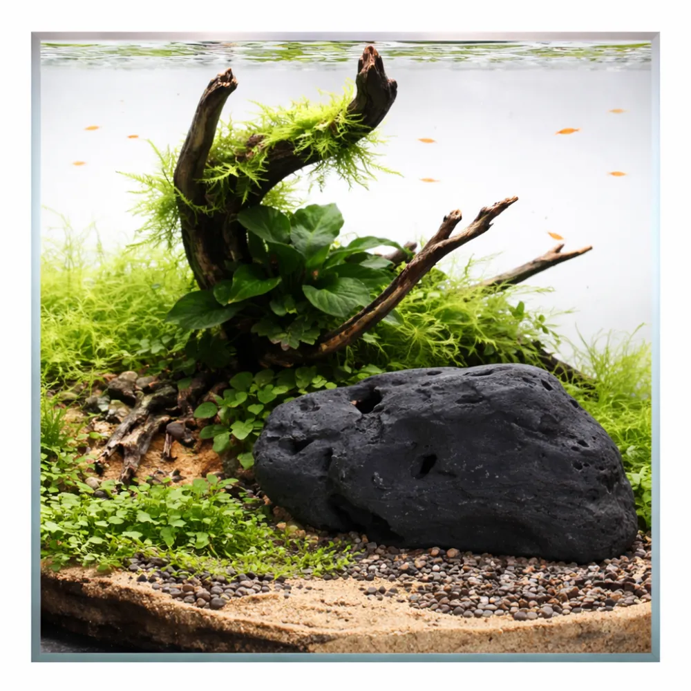 Hobby River Rock 2, 15 × 13 × 7 cm: dunkel gerundeter Flussstein in einem bepflanzten Aquarium als Aquascaping- und Terrarium-Deko, bietet Struktur und Verstecke für Fische, Garnelen und Wirbellose