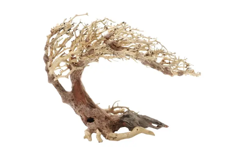 Dupla Crooked Root L, Handgemachte Aquariendeko