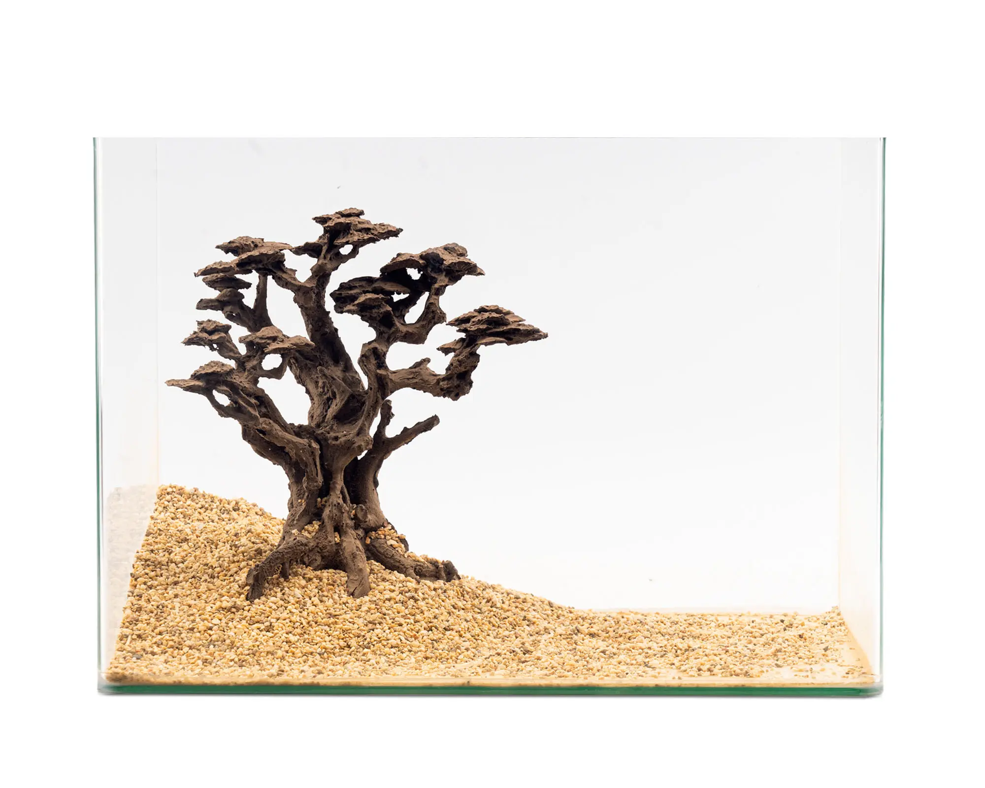 Braune Bonsai-Wurzel im Glas-Aquarium auf hellem Kies