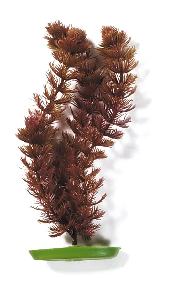 Marina Aquascaper Foxtail 30 cm