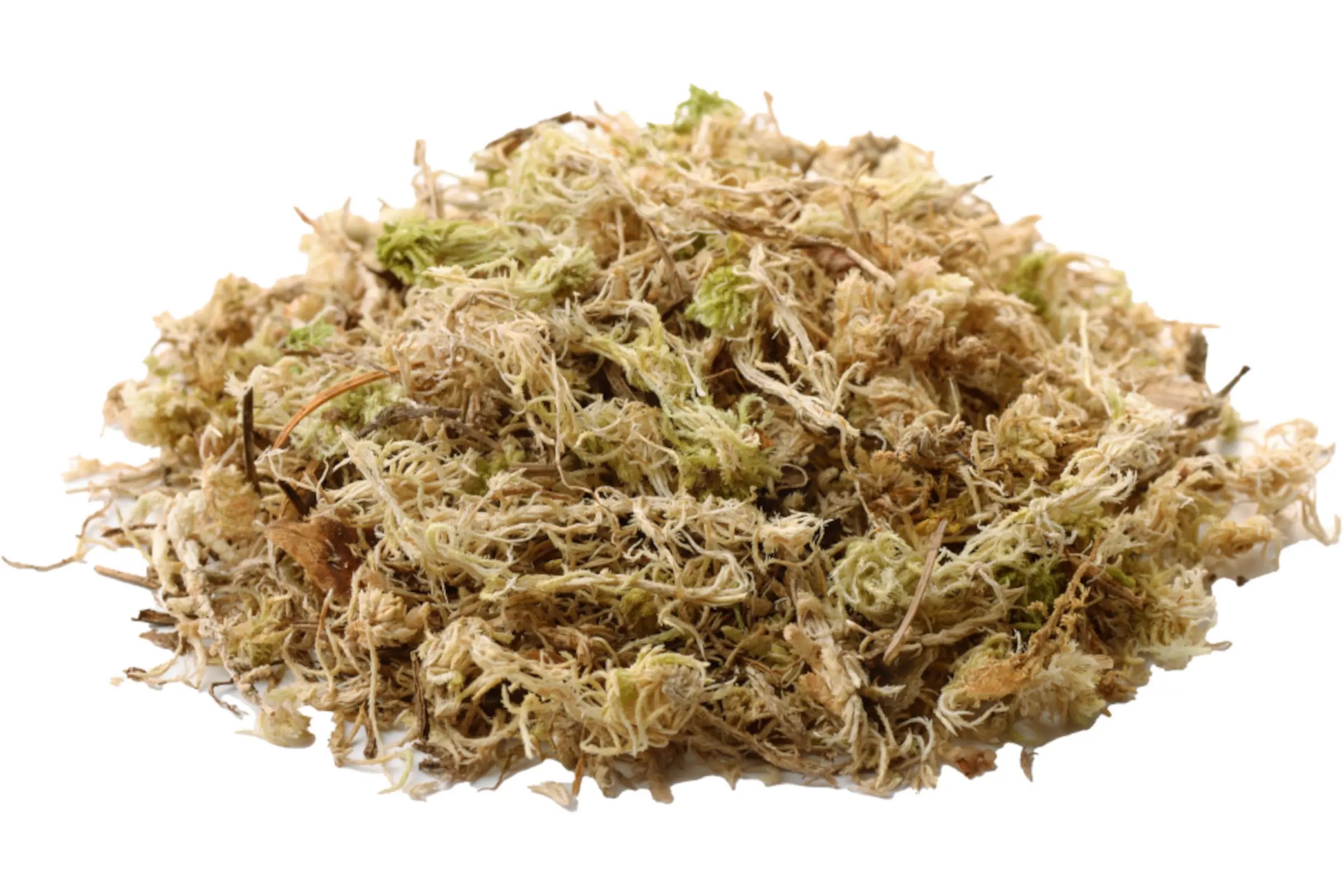 Hobby Sphagnum Moos, 1.000 g 