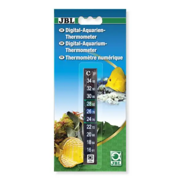 Thermometer