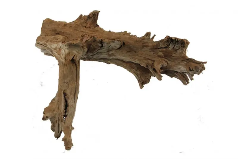 Hobby Mangrovenholz XL, 50-70 cm