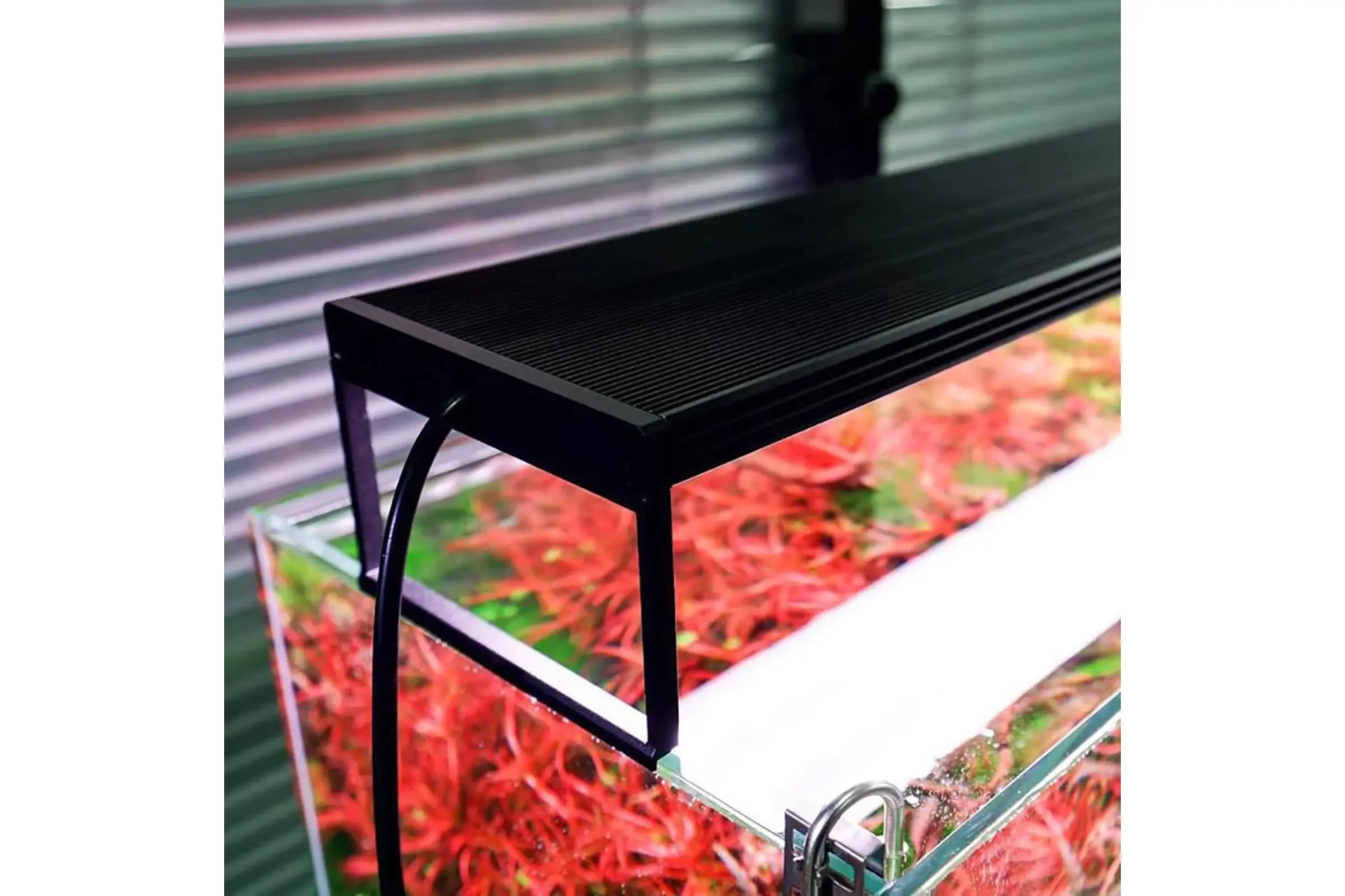 LED Süßwasser