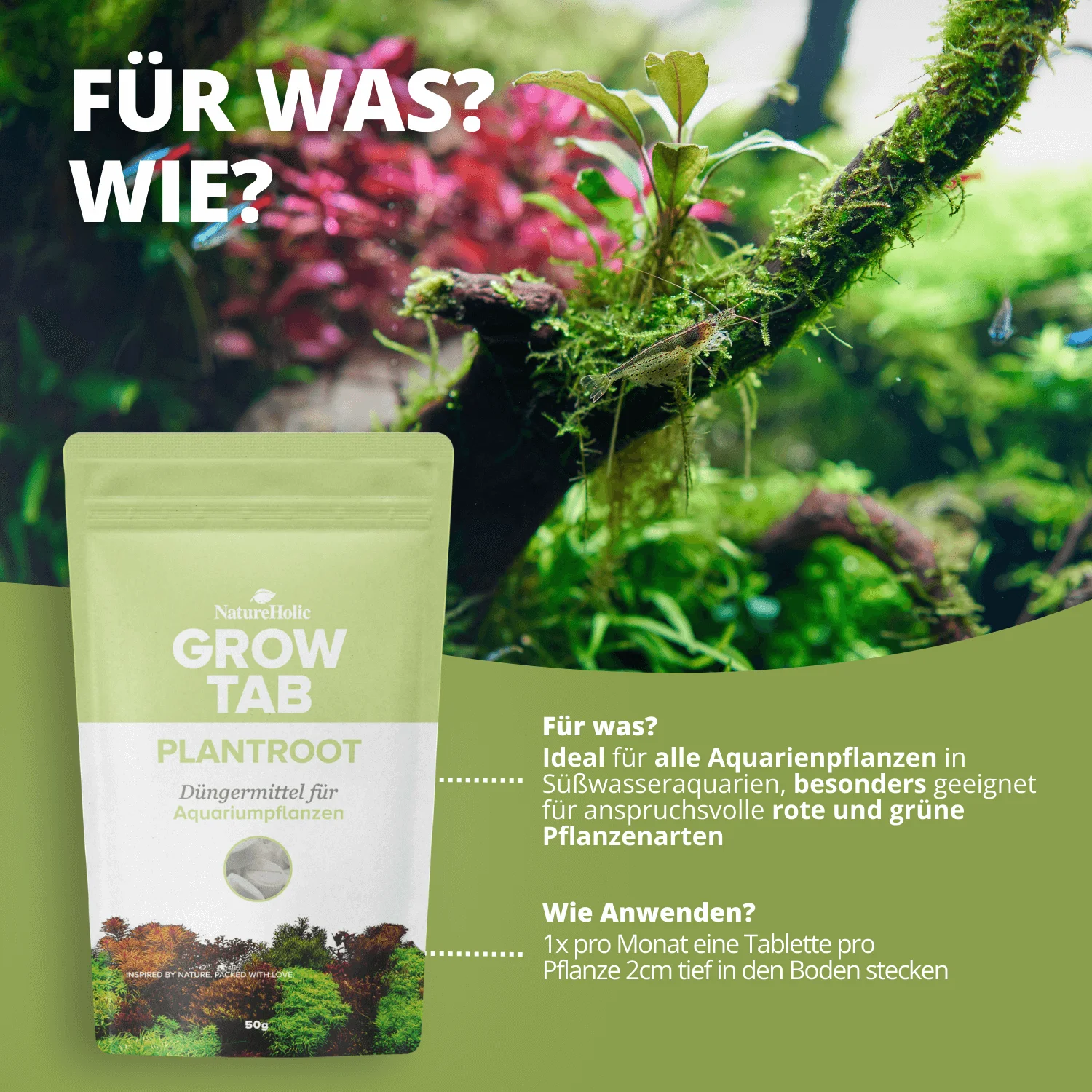 Grow Tab Plantroot Dünger vor bepflanztem Aquarium