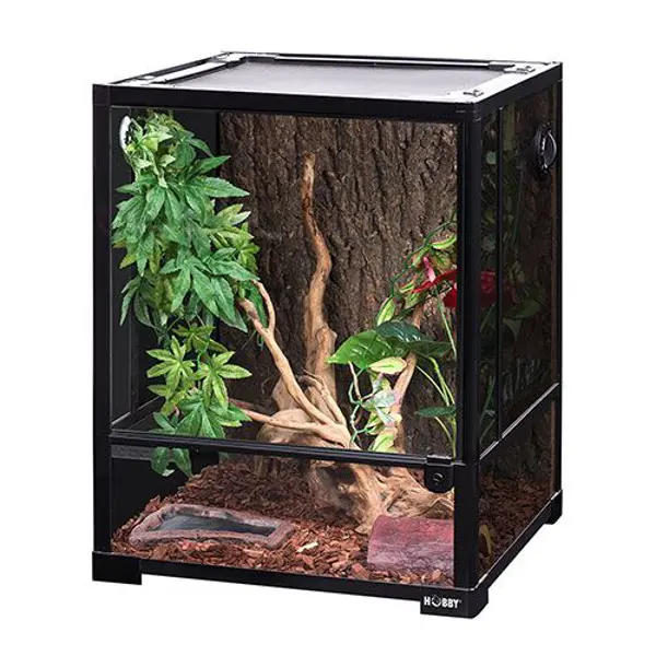 Terrarien