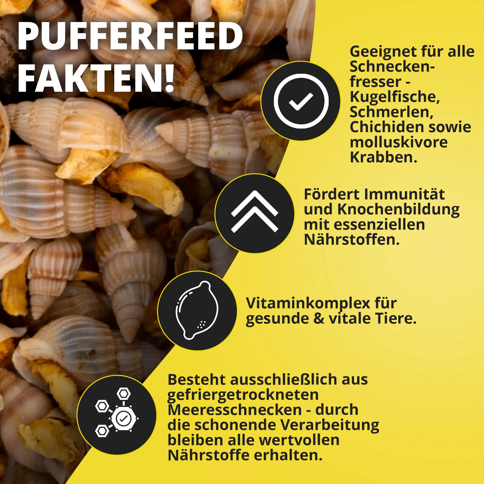PufferFeed Produktbild: Gefriergetrocknete Meeresschnecken
