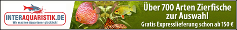 Affiliate-Banner 1