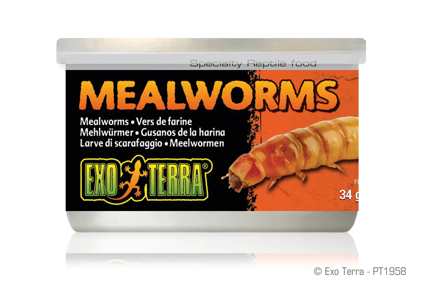 Exo Terra Mehlwürmer 34 g