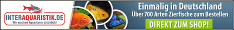 Affiliate-Banner 2